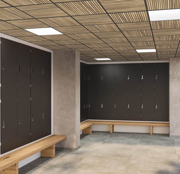 renderizado a escala Duelas de roble