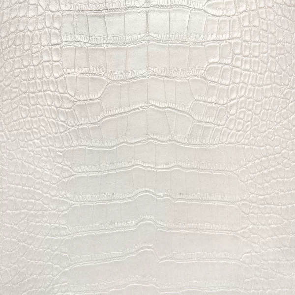 _DSC5866_1 Crocodile