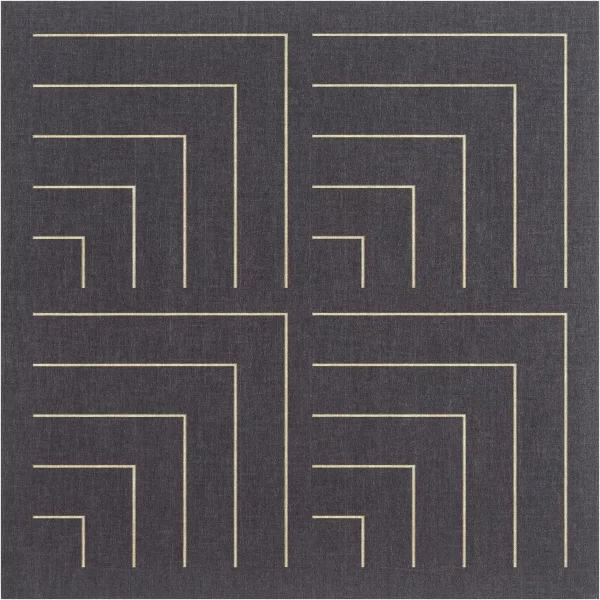 Flèches optiques sombres