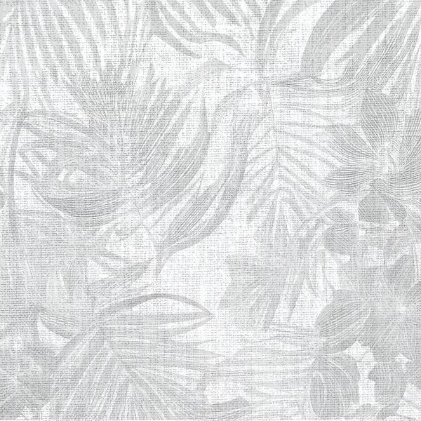 CO-187-MIN-8 Palmeras