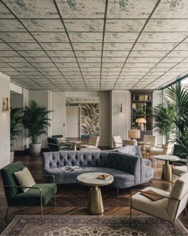 Zielone liście bambusa