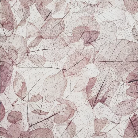 Prodotti Classe A1 150 DSC5600 1 copia