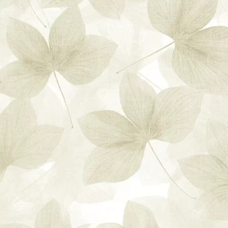 Prodotti Classe A1 45 258 macro