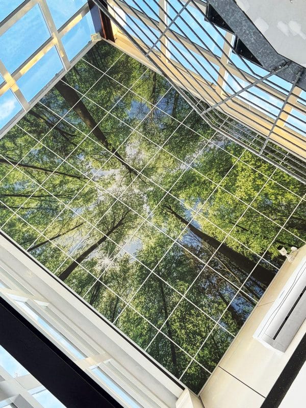 Customised subject: “House in the Woods”.” We do your graphics